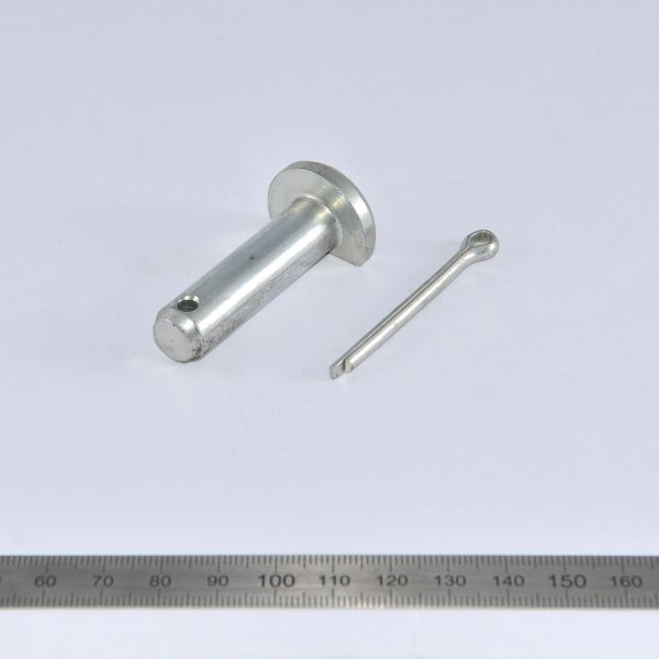 K00396_1500